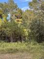 SMIT-1-B-1 La Hwy 63 - Photo 2