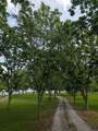 10086 La Hwy 68 - Photo 49