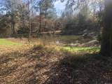 53 Cliffs Plantation Road - Photo 22