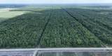  Greenwood Plantation Rd - Photo 17