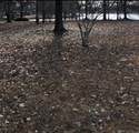 Lot 121B Betti Helen Pl - Photo 5