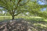 5474 Bayou Paul Rd - Photo 43