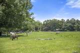 5474 Bayou Paul Rd - Photo 48