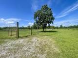 206 Back Project Road - Photo 34