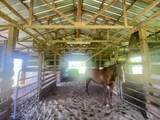 206 Back Project Road - Photo 36