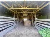 206 Back Project Road - Photo 38