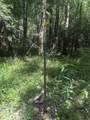 24632 Brian Rd - Photo 29