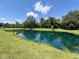 24632 Brian Rd - Photo 35