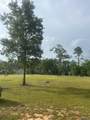  River Pines Dr - Photo 1