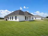 10125 Pelican Pointe Lane - Photo 13