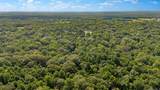 6409 Pohlman Rd - Photo 52