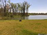 1103 Foxtail Dr - Photo 31