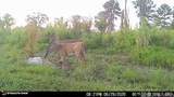 3320 Busy Corner Rd - Photo 24