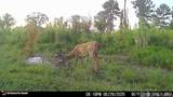 3320 Busy Corner Rd - Photo 25