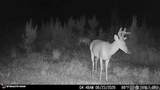 3320 Busy Corner Rd - Photo 26