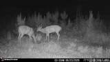 3320 Busy Corner Rd - Photo 27