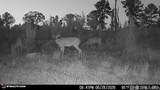 3320 Busy Corner Rd - Photo 28