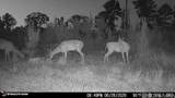 3320 Busy Corner Rd - Photo 29