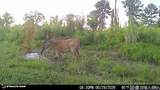 3320 Busy Corner Rd - Photo 30