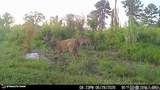 3320 Busy Corner Rd - Photo 31