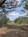 Tract 9 Lorin Wall Rd - Photo 4