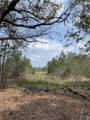 Tract 12 Lorin Wall Rd - Photo 2