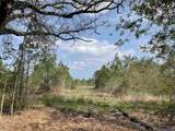 Tract 12 Lorin Wall Rd - Photo 3
