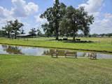 43283 Pond View Dr - Photo 22