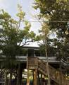 136 Cott Lane - Photo 1