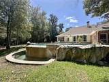 19224 Green Heron Dr - Photo 31