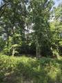 Lots 2-4 Farrar Davis Rd - Photo 12
