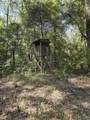 Lots 2-4 Farrar Davis Rd - Photo 13