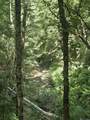 Lots 2-4 Farrar Davis Rd - Photo 15