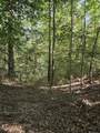 Lots 2-4 Farrar Davis Rd - Photo 17