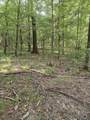 Lots 2-4 Farrar Davis Rd - Photo 18