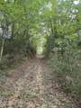 Lots 2-4 Farrar Davis Rd - Photo 2