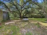 49479 Highway 445 Highway - Photo 15