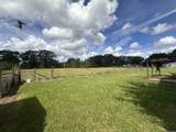 65623 Wilcox Rd - Photo 32