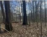 LOT 11 Turkey Creek Rd - Photo 2
