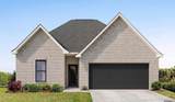 26584 Vanissa Dr - Photo 6