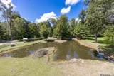 31805 Greenwell Springs Rd - Photo 9