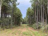 18993 Honey Grove - Photo 4