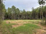 18993 Honey Grove - Photo 5