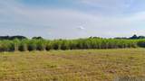 1053 Jeffery Broussard Rd - Photo 2