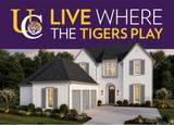 1662 Tiger Crossing Dr - Photo 1