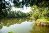 4084 Hwy 311 - Photo 49