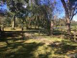 15151 Plank Rd - Photo 10