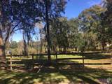 15151 Plank Rd - Photo 11