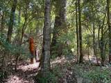 0 Aunt Margies Road - Photo 5