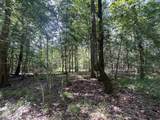 Lots A-1 & A-2 Stoney Point Burch Rd - Photo 15